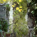 La Bifora E Le Lune Vico Sotto Gli Archi 5