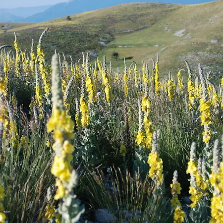 ベッド・アンド・ブレックファスト La Bifora E Le Lune Vico Sotto Gli Archi 5