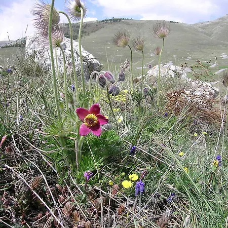La Bifora E Le Lune Vico Sotto Gli Archi 5