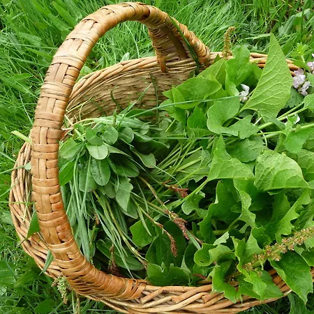 La Bifora E Le Lune Vico Sotto Gli Archi 5 Santo Stefano Di Sessanio