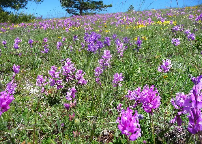 La Bifora E Le Lune Vico Sotto Gli Archi 5