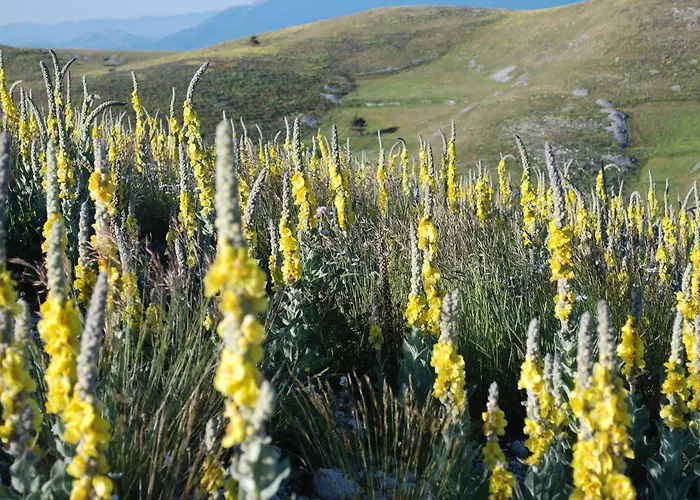 לינה וארוחת בוקר La Bifora E Le Lune Vico Sotto Gli Archi 5