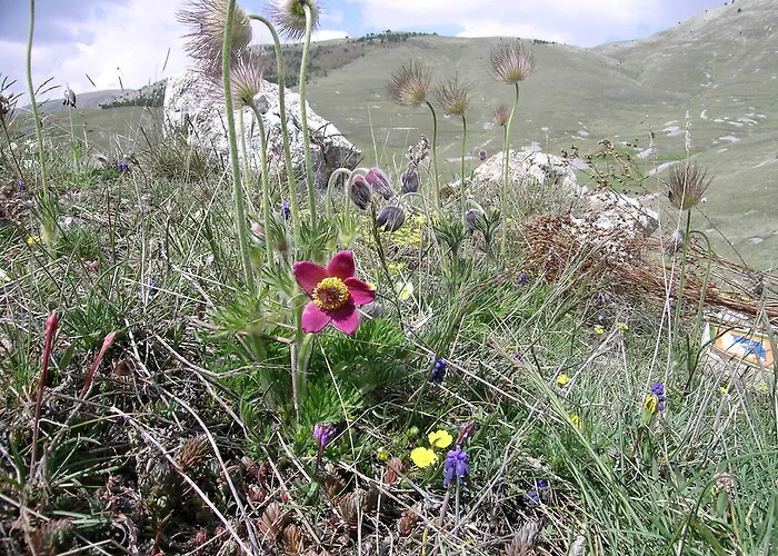 La Bifora E Le Lune Vico Sotto Gli Archi 5