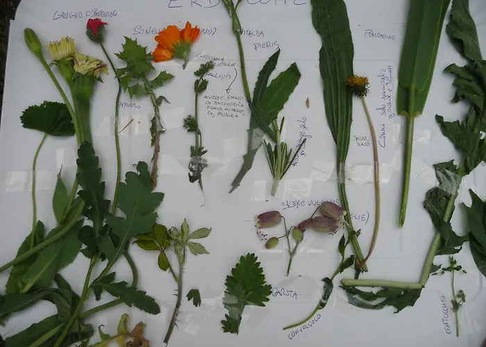 Oda ve Kahvaltı La Bifora E Le Lune Vico Sotto Gli Archi 5