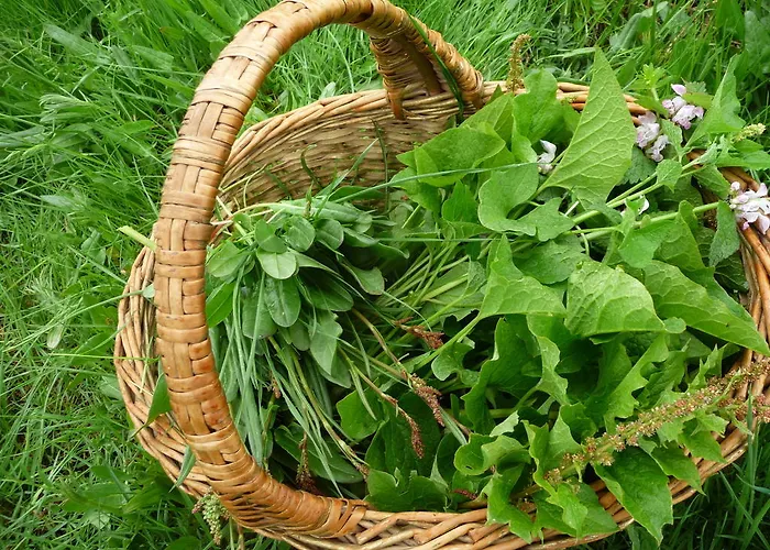 La Bifora E Le Lune Vico Sotto Gli Archi 5 סנטו סטפאנו די ססאניו